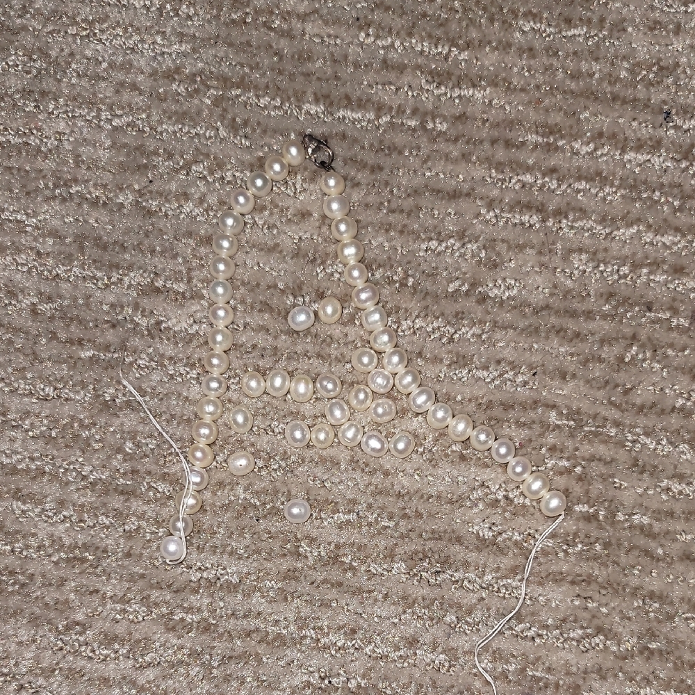 Pearl Necklace Pieces